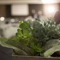 OMA 30th Anniversary Celebration